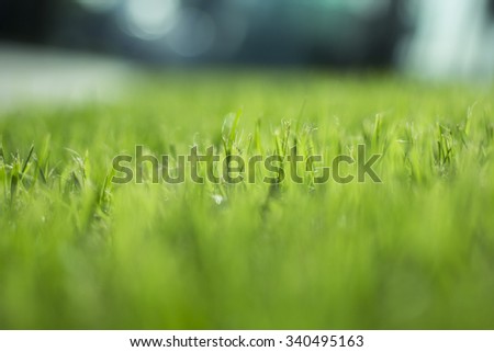 Abstract natural backgrounds with beauty bokeh