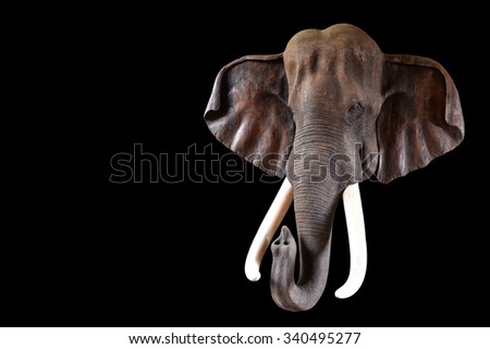 Elephant Head Model from wooden on black background