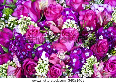 Beautiful colorful flower background