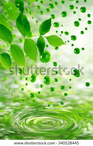 Ecology symbol. Nice twig with green leaves above water