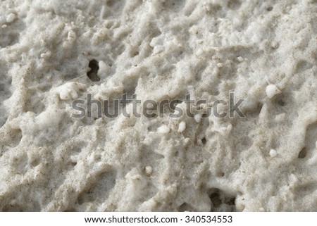 Sea foam from polluted ocean