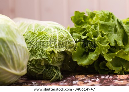 Variety of green colored vegetables bunch of lettuce salad chinese and white cabbage on light blur background indoor closeup, horizontal picture