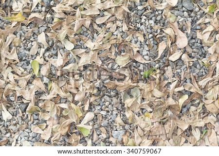 Autumn natural tree leaves textured background