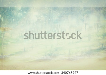 blurred abstract photo of light burst among trees and glitter bokeh lights. filtered image and textured.
