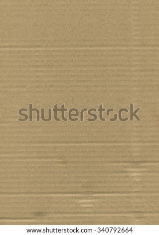 Cardboard texture. High resolution scan. Empty sheet.