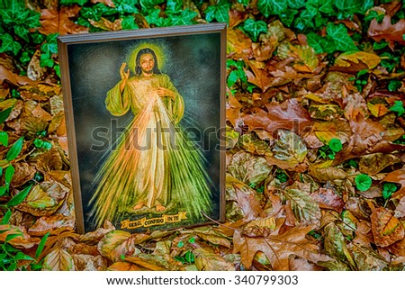 an icon with the picture of the Merciful Jesus among fallen leaves in Autumn: the translation of the Italian writing on bottom is Jesus, I trust in you