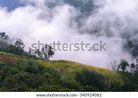 Morning mist with mountain in Chiang Dao National Park ,Chiang Mai, Thailand.