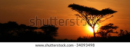 Sun Setting over Serengeti Wildlife Conservation Area, Safari, Tanzania, East Africa