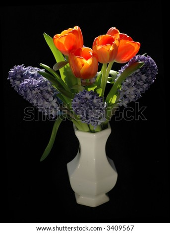Red tulips with hyacinth