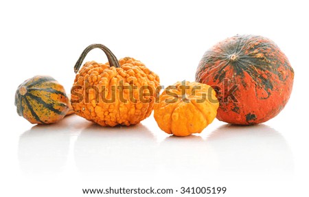 Mini pumpkins isolated on a white background with reflection