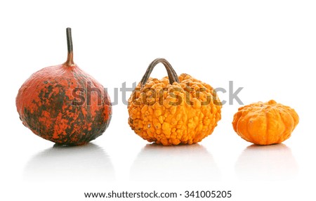 Mini pumpkins isolated on a white background with reflection