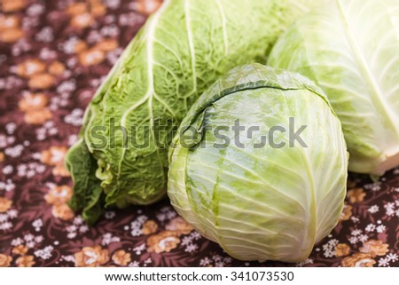 White headed and chinese cabbage raw vibrant full of minerals, vitamins vegetables organic food on floral dark background healthy lifestyle closeup, horizontal picture