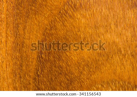 Wood texture Background