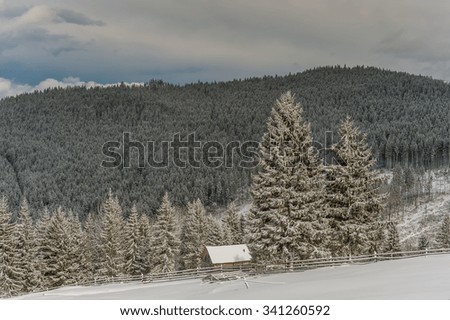Winter landscape - snow Fairy Tale