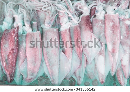Fresh squids in The Market