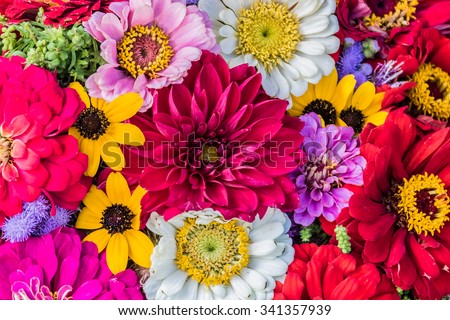 Different flowers bouqet outdoor Royalty-Free Stock Photo #341357939