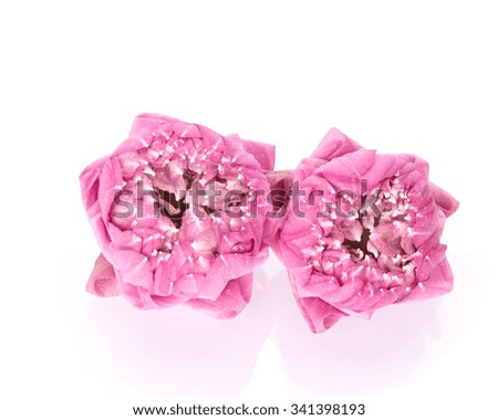Pink lotus flower isolated on white background. This has clipping path.