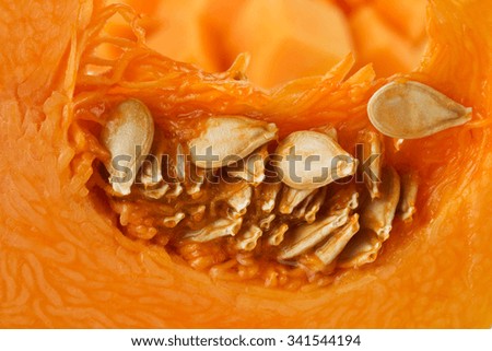 A piece of pumpkin close-up.