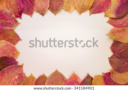 Dry red-yellow leaves circumscribing a blank space