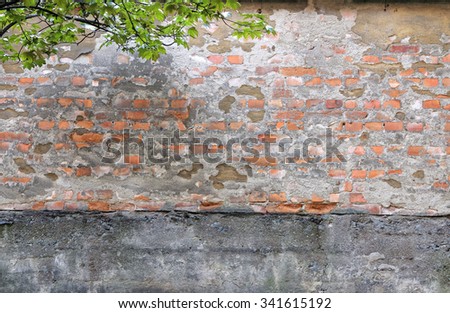 Warn brick wall and leafs in the corner hanging down from a maple