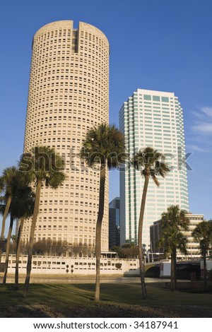 Palms and skyscrapers in Tampa