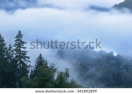 Fog in Gauja river valley at dawn