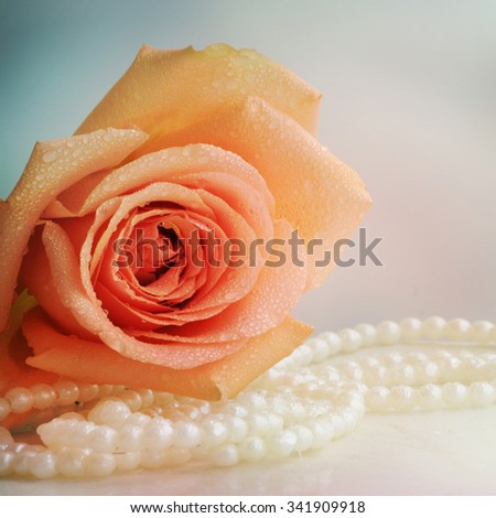 Roses for mother s day