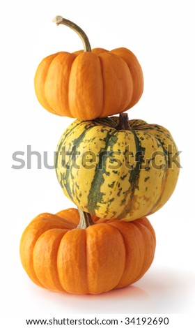 pumpkin three orange halloween thanksgiving harvest isolated