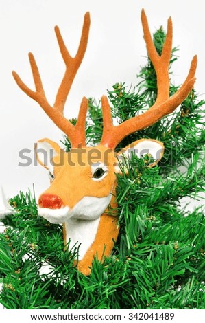 Reindeer on the Christmas tree in the winter season.