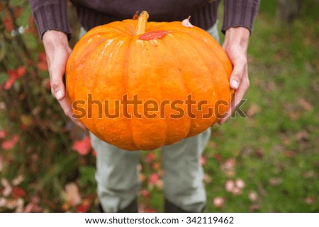 The man is holding a pumpkin. Autumn, fallen leaves around. 