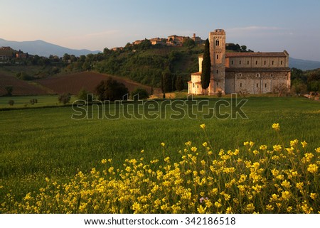 Abbey of Sant’Antimo, a Benedictine monastery, Tuscany, Italy. Summer day,  Flowering meadow in foreground, hills and vineyards in background. 