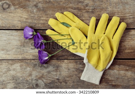 Yellow garden gloves and violet flower on wooden background