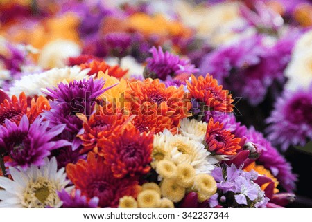 background of colorful flowers