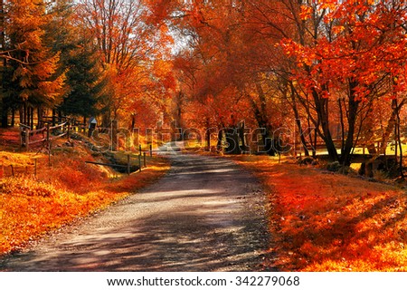 Autumn scene with road. Road in autumn mountains. Beskid Mountains. Poland