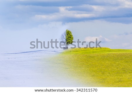Climate change from winter to summer time over the year. Nature weather visual with a single tree on a hill. Cold snow has a transition to a warm meadow. Icy branches have a transition to juicy leaves