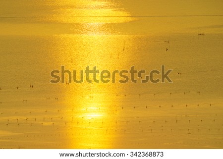 Gold water texture from sunlight reflex in the morning at Songkhla Lake:Select focus with shallow depth of field:Ideal use for background.