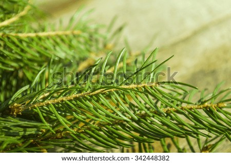 Fir tree branches over old wooden background