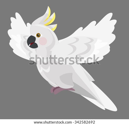 Cartoon parrot - cockatoo - isolated - illustration for the children