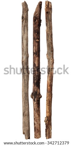 Tree branches isolated on white background Royalty-Free Stock Photo #342712379