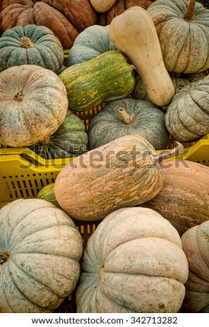 Assorted pumpkins of different shapes on a street market stall.