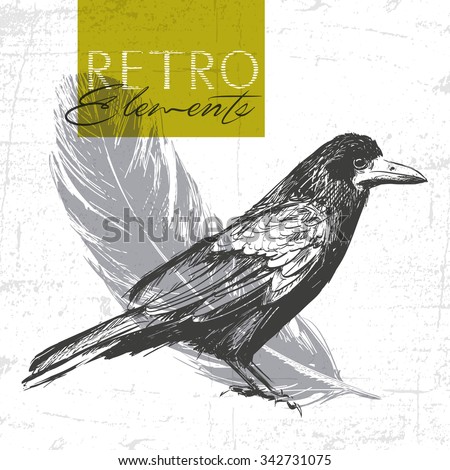 Vector vintage raven. Hand drawn illustration. See also other animals