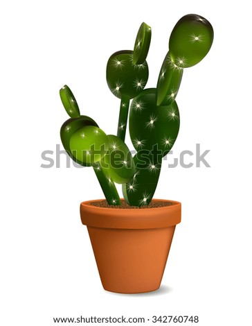 Cactus in Flowerpot. Isolated Illustration 