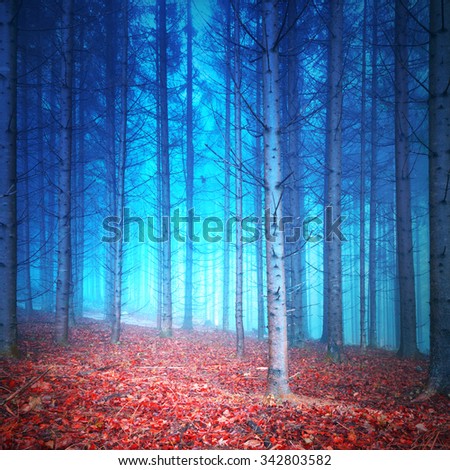 Mystic red and blue colored autumn season foggy forest. Picture was taken in south east Slovenia, Europe.
