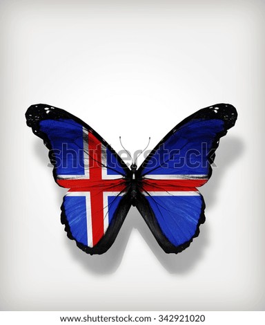Butterfly Iceland flag on paper as card