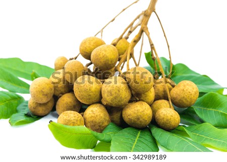 Fresh ripe longan fruits and leaves on a white background