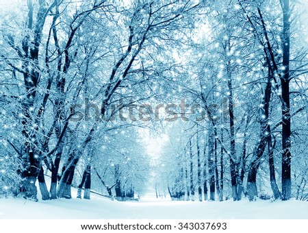 Winter scenery, frosty trees in a city park Royalty-Free Stock Photo #343037693