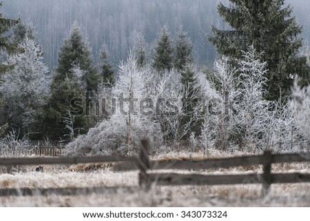 Frosty morning in mountain village
