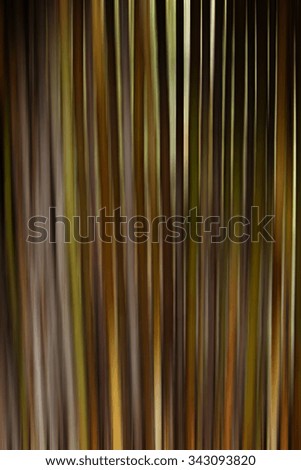 Abstract lines background. Nature abstract background .