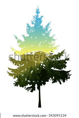 Natural silhouette of coniferous tree with panorama of green mountains. Colorful sky.