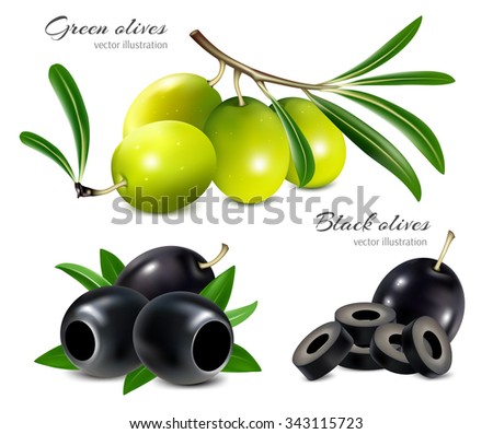 Black and green olives, pitted olives and olives slices. Vector illustration. Royalty-Free Stock Photo #343115723